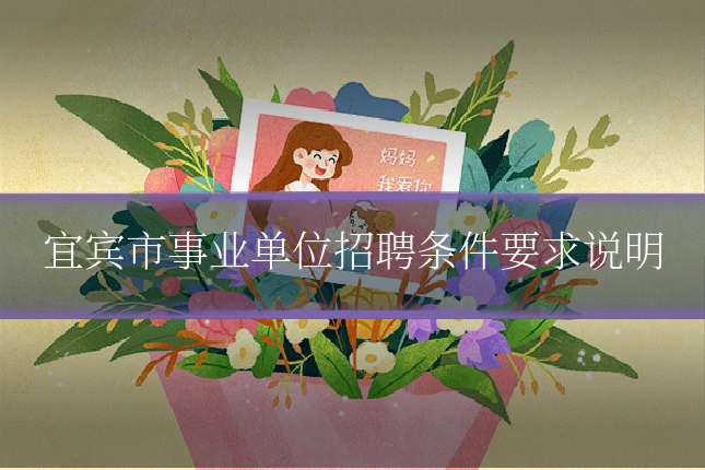 宜宾市事业单位招聘条件要求说明