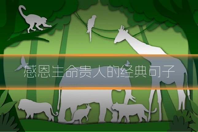 感恩生命贵人的经典句子
