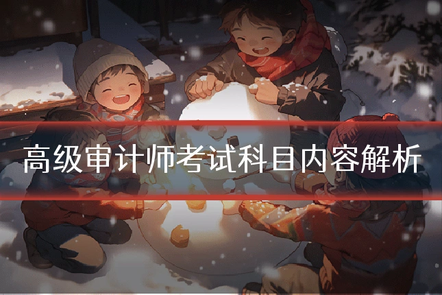 高级审计师考试科目内容解析