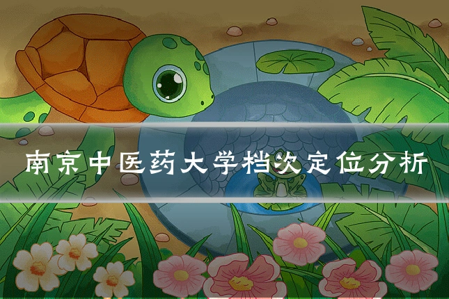 南京中医药大学档次定位分析