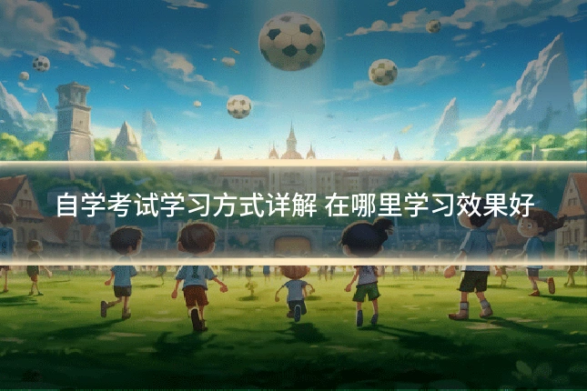 自学考试学习方式详解 在哪里学习效果好