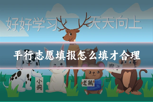 平行志愿填报怎么填才合理