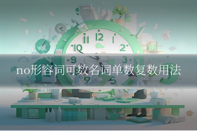 no形容词可数名词单数复数用法