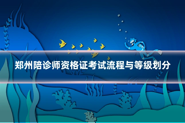 郑州陪诊师资格证考试流程与等级划分