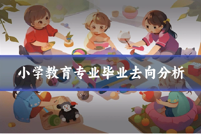 小学教育专业毕业去向分析