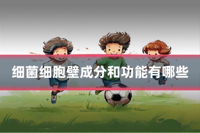 细菌细胞壁成分和功能有哪些