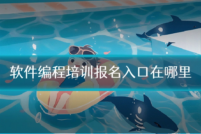 软件编程培训报名入口在哪里