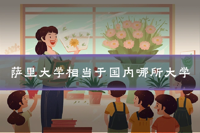 萨里大学相当于国内哪所大学