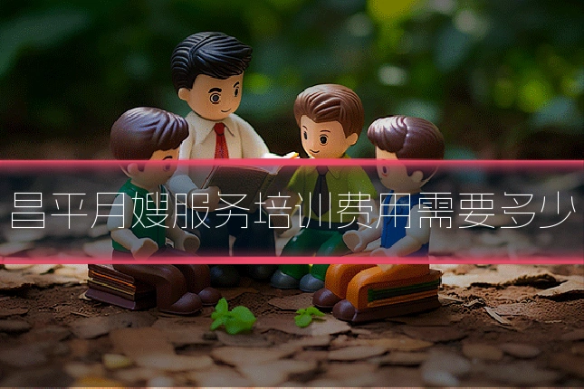 昌平月嫂服务培训费用需要多少