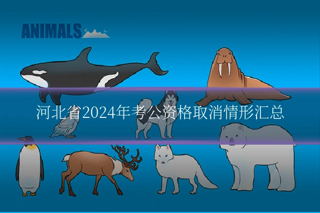 河北省2024年考公资格取消情形汇总