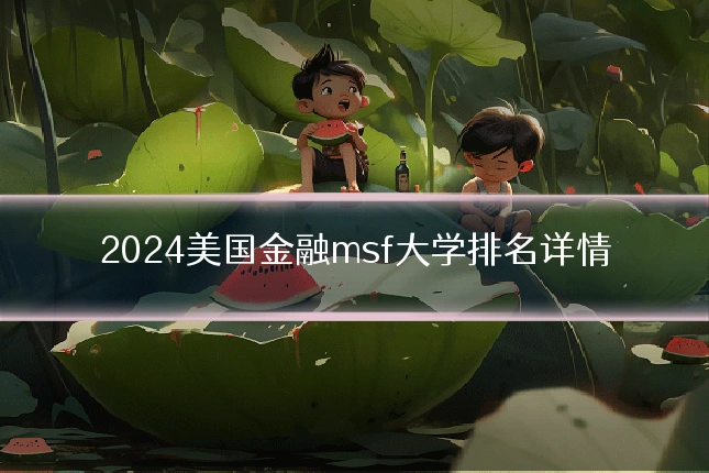 2024美国金融msf大学排名详情
