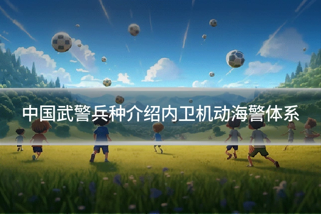 中国武警兵种介绍内卫机动海警体系