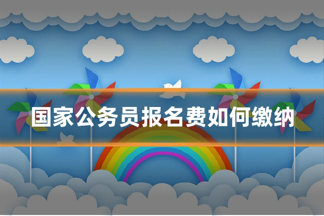 国家公务员报名费如何缴纳