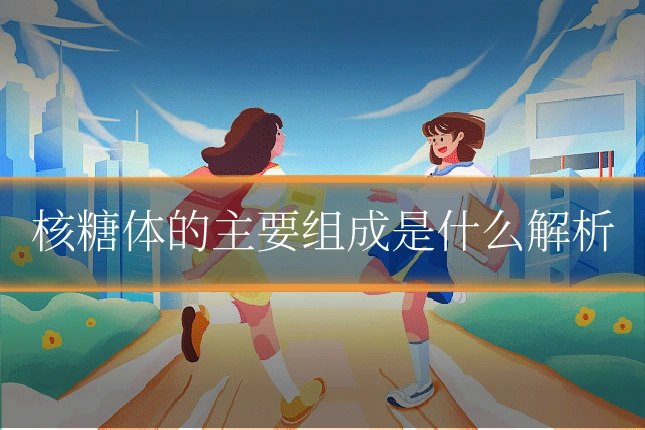 核糖体的主要组成是什么解析
