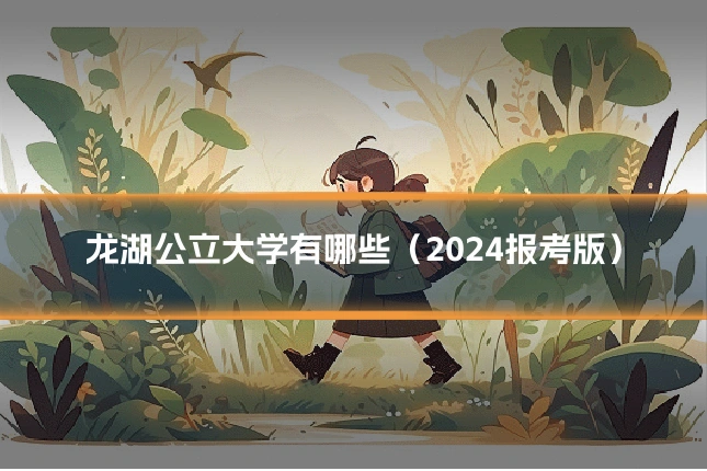 龙湖公立大学有哪些（2024报考版）