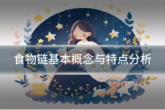 食物链基本概念与特点分析