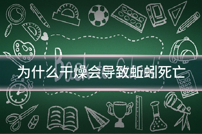 为什么干燥会导致蚯蚓死亡