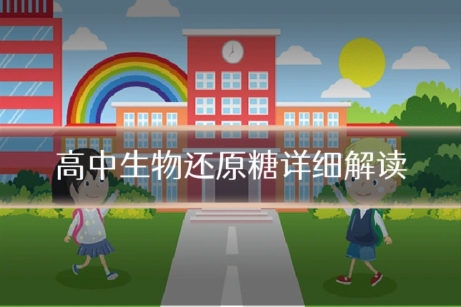 高中生物还原糖详细解读