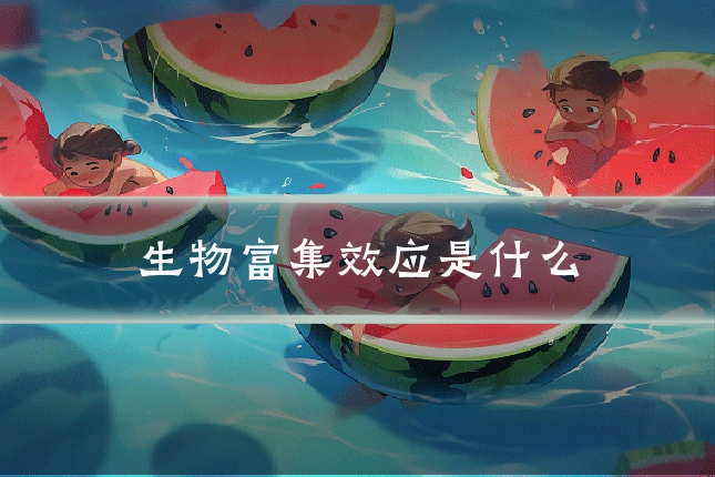 生物富集效应是什么
