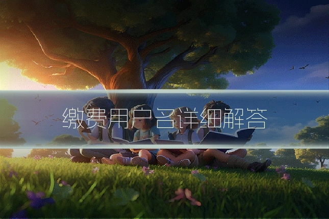缴费用户名详细解答