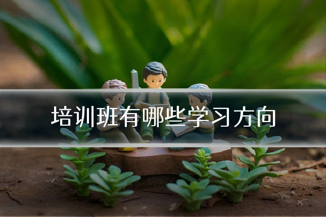培训班有哪些学习方向