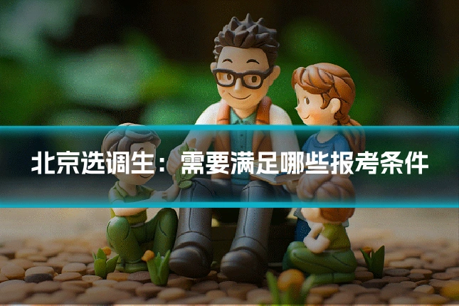 北京选调生：需要满足哪些报考条件