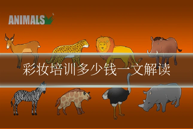 彩妆培训多少钱一文解读