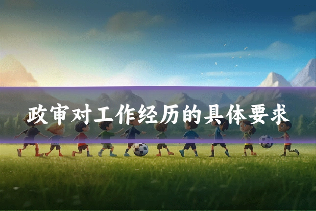 政审对工作经历的具体要求