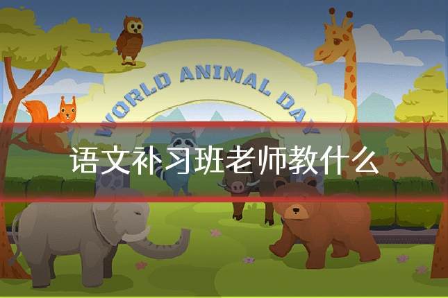 语文补习班老师教什么