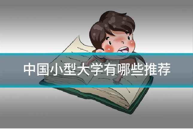 中国小型大学有哪些推荐