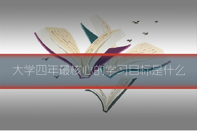 大学四年最核心的学习目标是什么