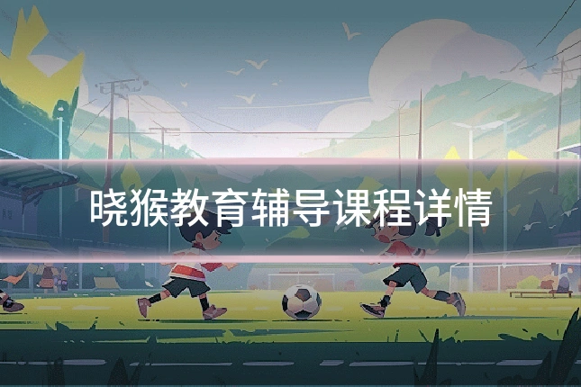 晓猴教育辅导课程详情