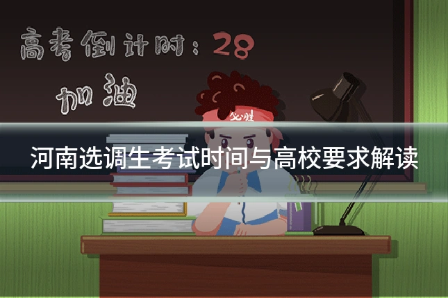 河南选调生考试时间与高校要求解读