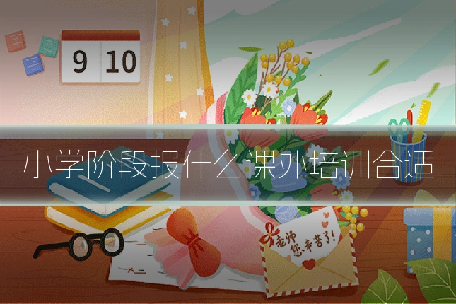 小学阶段报什么课外培训合适
