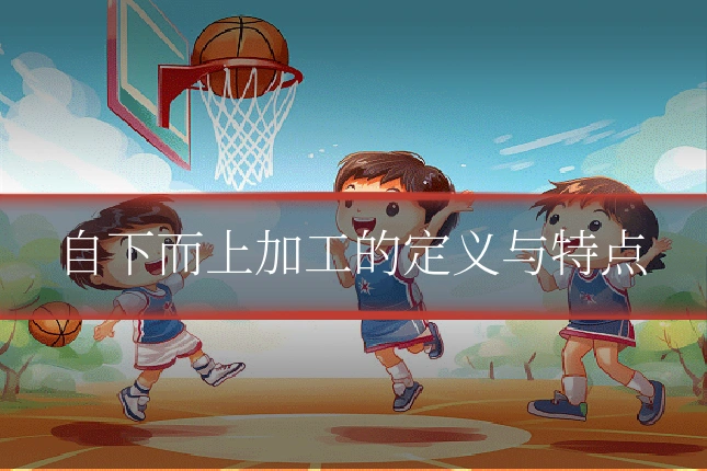 自下而上加工的定义与特点