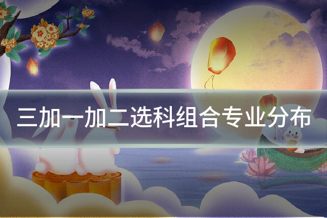 三加一加二选科组合专业分布