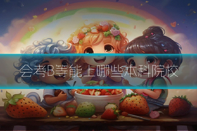 会考B等能上哪些本科院校