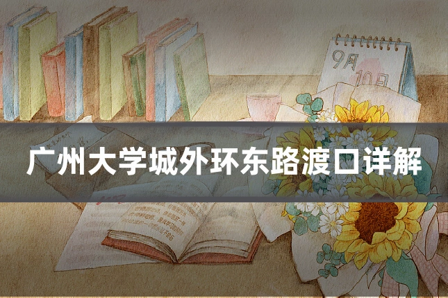 广州大学城外环东路渡口详解