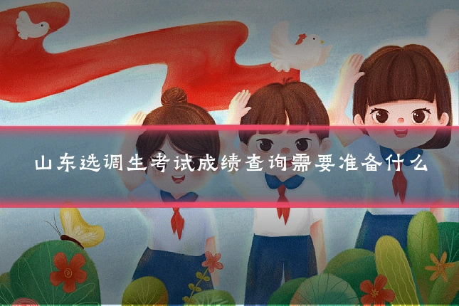 山东选调生考试成绩查询需要准备什么