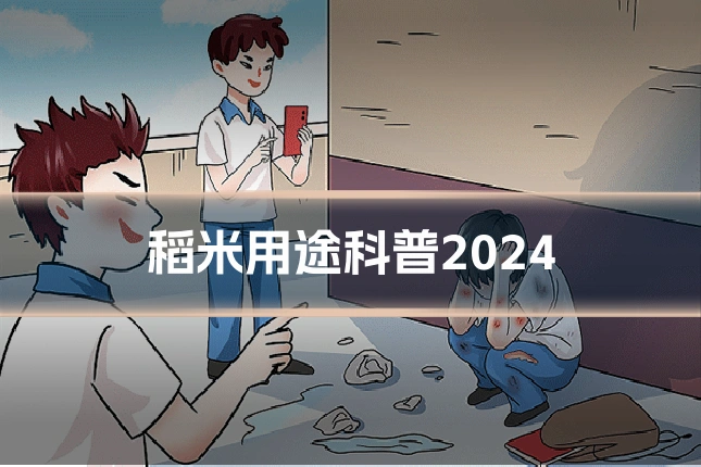 稻米用途科普2024
