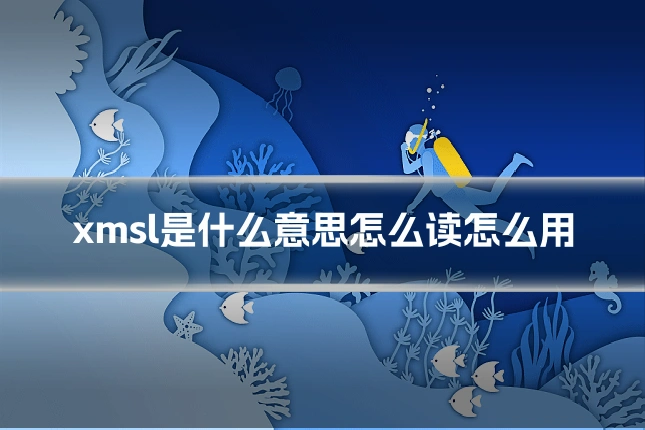 xmsl是什么意思怎么读怎么用