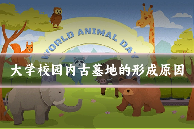 大学校园内古墓地的形成原因