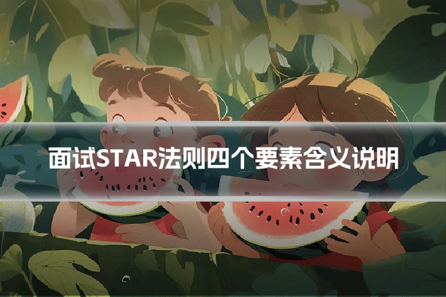 面试STAR法则四个要素含义说明