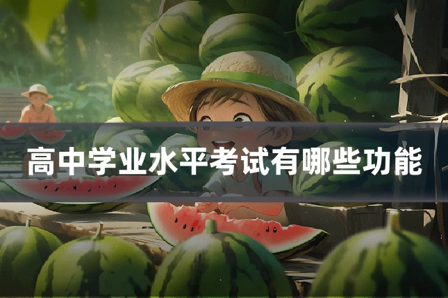 高中学业水平考试有哪些功能
