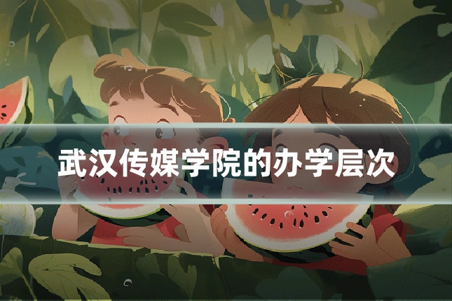 武汉传媒学院的办学层次