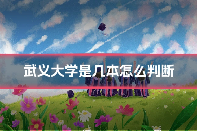武义大学是几本怎么判断