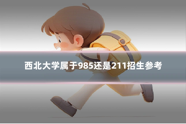 西北大学属于985还是211招生参考