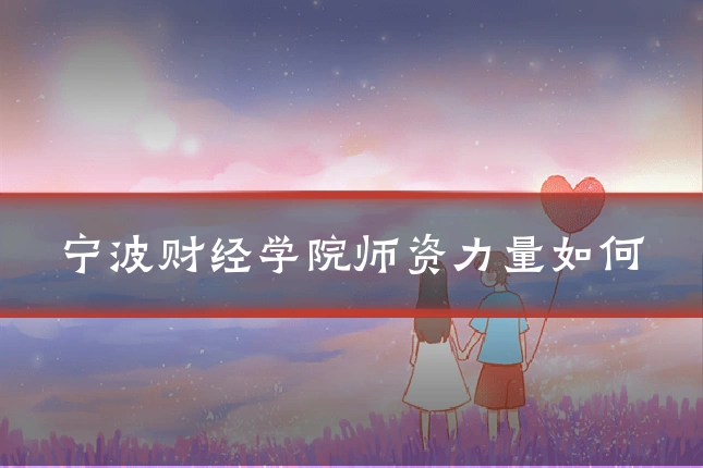 宁波财经学院师资力量如何