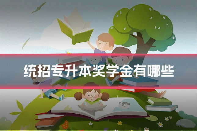 统招专升本奖学金有哪些