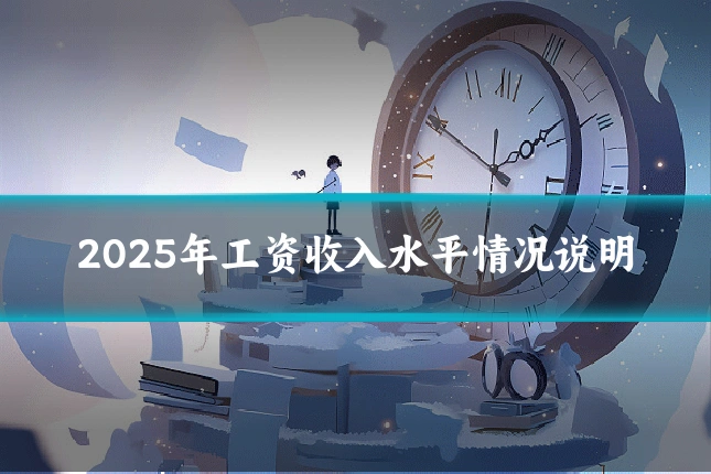 2025年工资收入水平情况说明